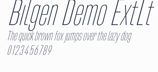 Bilgen Demo ExtLt預覽圖