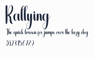 Rallying預覽圖