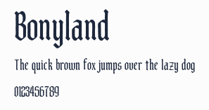 Bonyland預覽圖