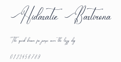 Hidasatie Bastirona預覽圖