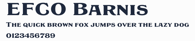 EFCO Barnis預覽圖