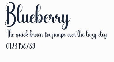 Blueberry預覽圖