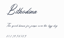 Bithodina預覽圖
