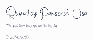 Rapuntaz Personal Use預覽圖
