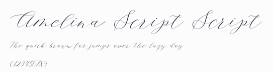 Amelina Script Script預覽圖