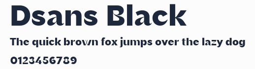 Dsans Black預覽圖