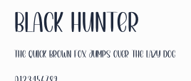 Black Hunter預覽圖