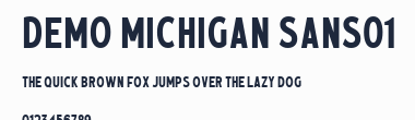 Demo Michigan Sans01預覽圖