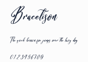 Bracetison預覽圖