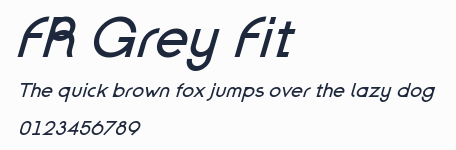 FR Grey Fit預覽圖