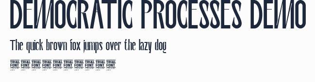 DEMOCRATIC PROCESSES DEMO預覽圖