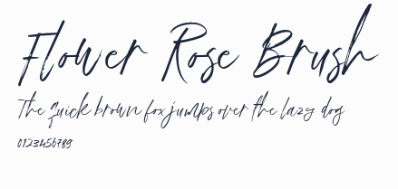 Flower Rose Brush預覽圖