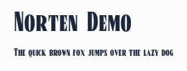 Norten Demo預覽圖