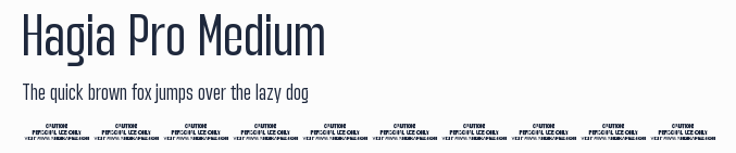 Hagia Pro Medium預覽圖