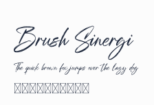 Brush Sinergi預覽圖