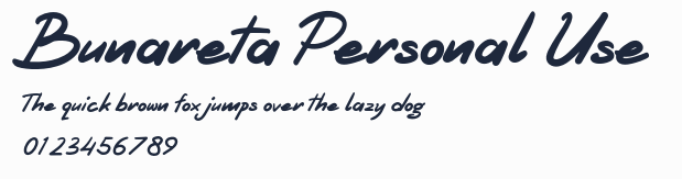 Bunareta Personal Use預覽圖