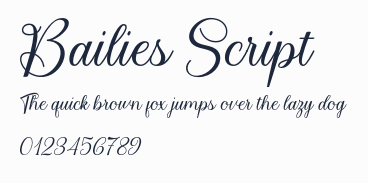 Bailies Script預覽圖