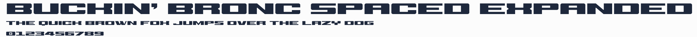 Buckin' Bronc Spaced Expanded預覽圖