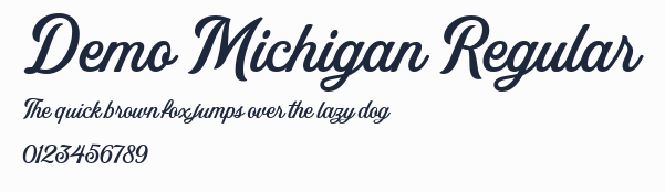 Demo Michigan Regular預覽圖