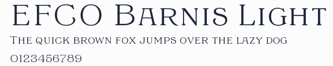 EFCO Barnis Light預覽圖