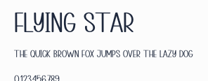 Flying Star預覽圖