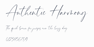 Authentic Harmony預覽圖