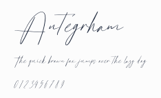 Antegrham預覽圖