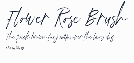 Flower Rose Brush預覽圖