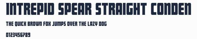 Intrepid Spear Straight Conden預覽圖