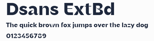 Dsans ExtBd預覽圖