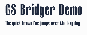 CS Bridger Demo預覽圖