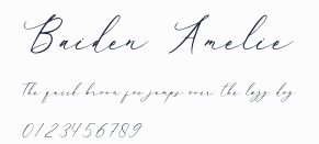 Baiden Amelie預覽圖