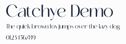 Catchye Demo預覽圖