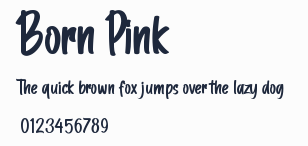 Born Pink預覽圖