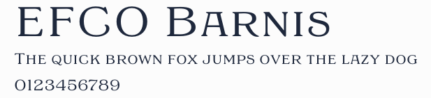 EFCO Barnis預覽圖