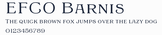 EFCO Barnis預覽圖
