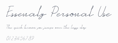 Essenaly Personal Use預覽圖
