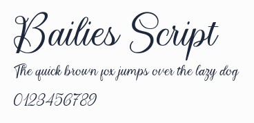 Bailies Script預覽圖