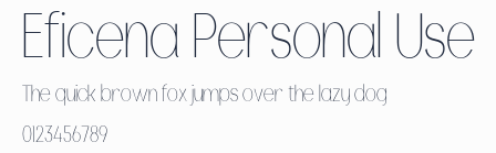 Eficena Personal Use預覽圖