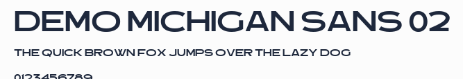 Demo Michigan Sans 02預覽圖