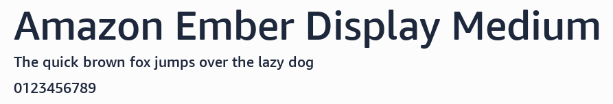 Amazon Ember Display Medium預覽圖