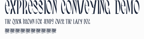 Expression Conveying Demo預覽圖