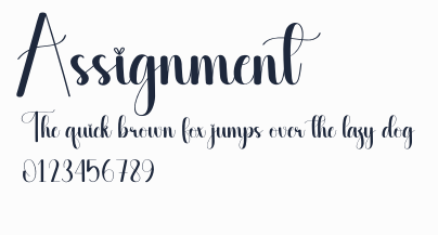 Assignment預覽圖