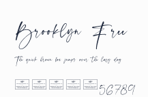 Brooklyn Free預覽圖