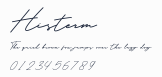 Histerm預覽圖