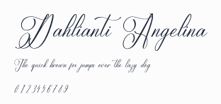 Dahlianti Angelina預覽圖