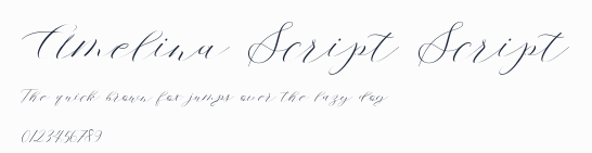 Amelina Script Script預覽圖