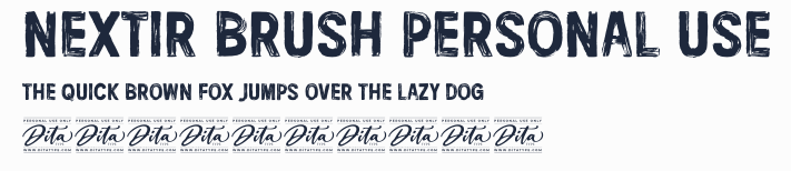 Nextir Brush Personal Use預覽圖