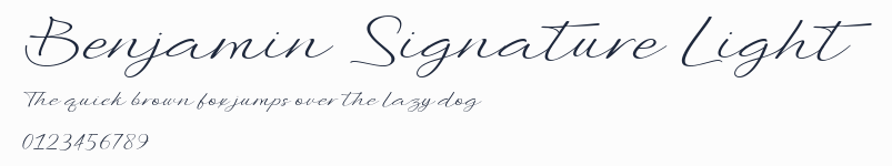 Benjamin Signature Light預覽圖