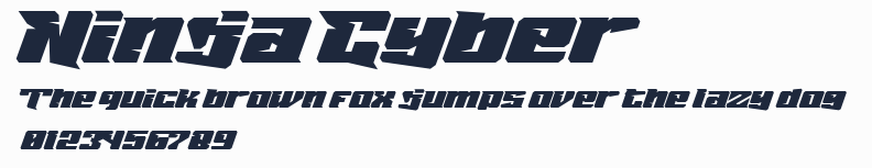 Ninja Cyber預覽圖